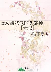 npcͷˣޣ