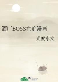 ƳBOSS׷