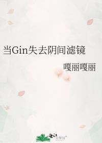 Ginʧȥ˾