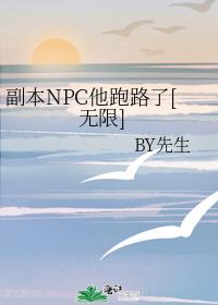 NPC·[]